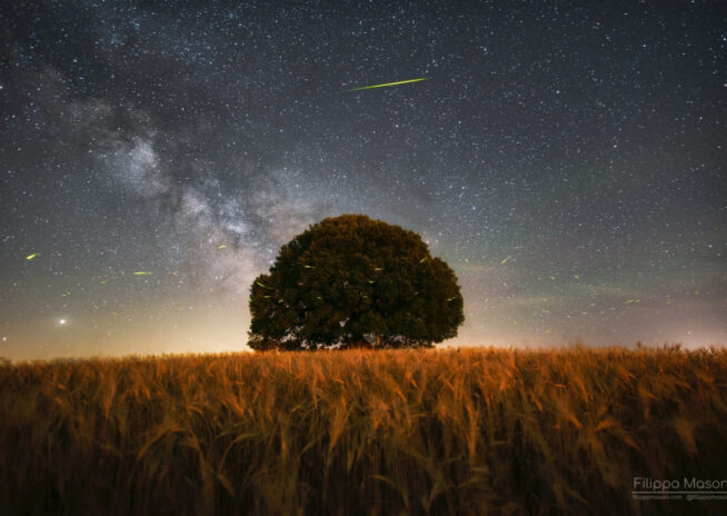 Offerta Migliore Tariffa Online-min