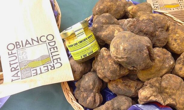 tartufo-bianco-san-giovanni-dasso-cs-610x366